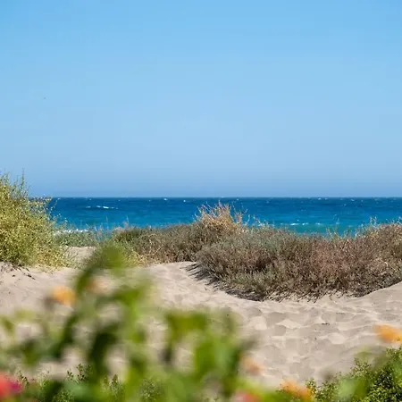 Queen - Romana Playa Apartment